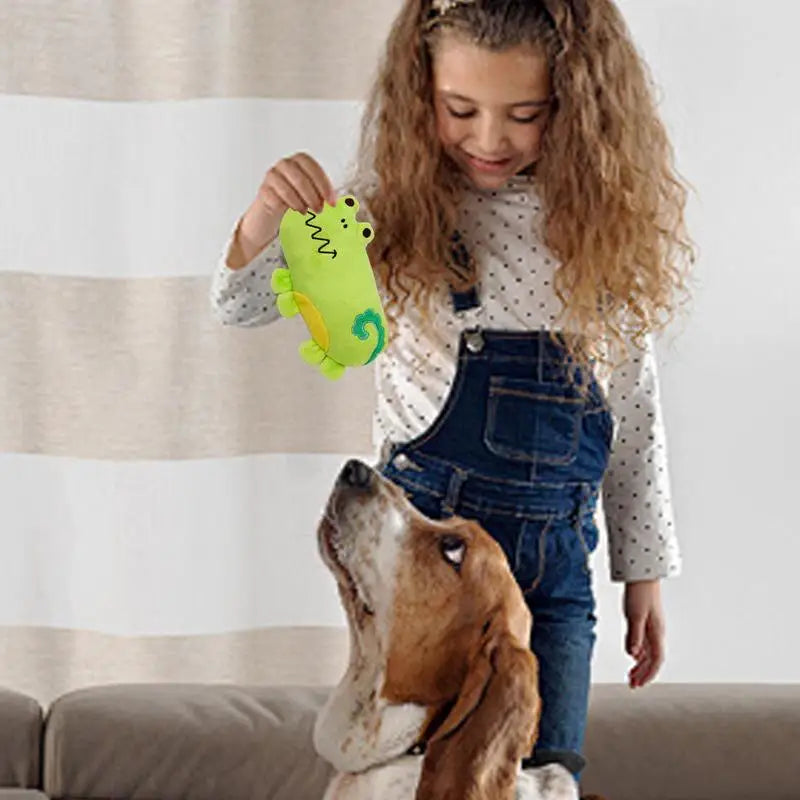 Squeaky Plush Dog Toys
